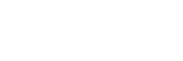 Hawk Painting Logo White